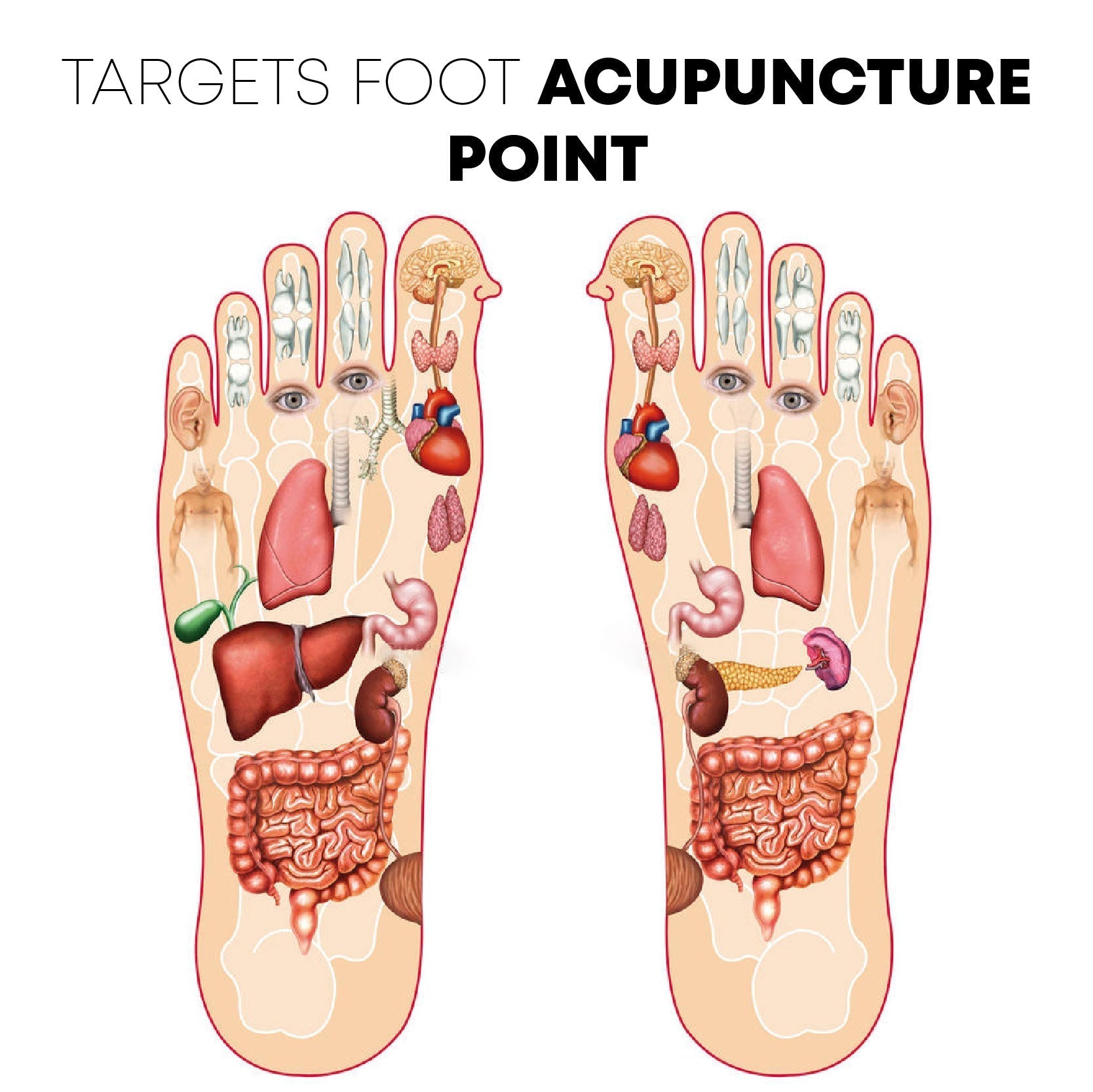 EMS Acupoints™ | Therapeutische Afslank Massager Mat