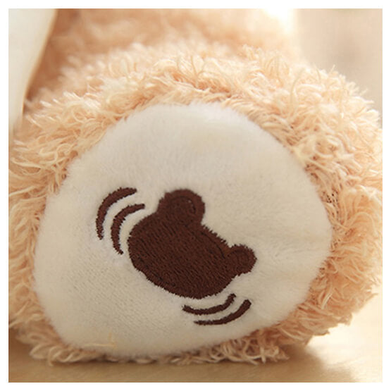 Peekaboo™ | Zachte pluche Teddybeer