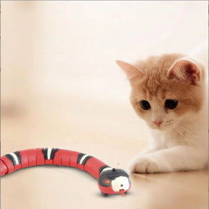 Snake Toy met Afstandsbediening (NIEUW!)